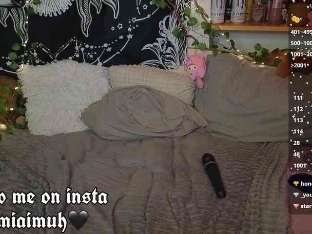 bornindark webcam