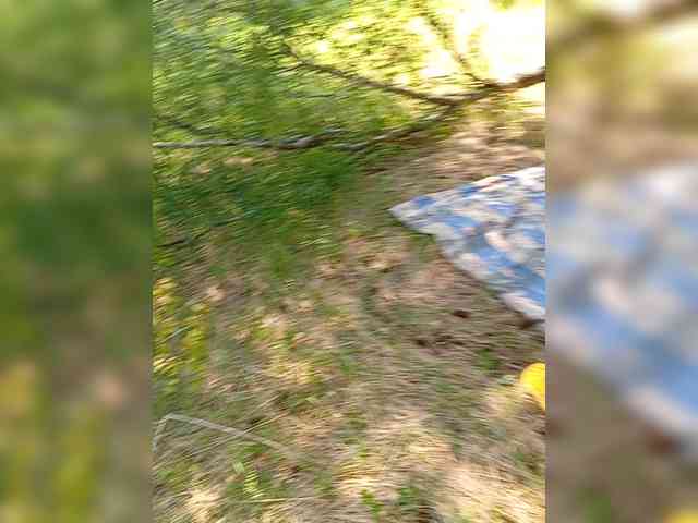 dimasiktrackdriver webcam
