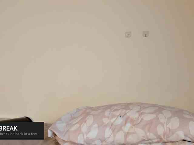 laguber webcam