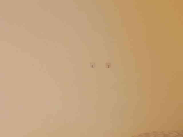 laguber webcam