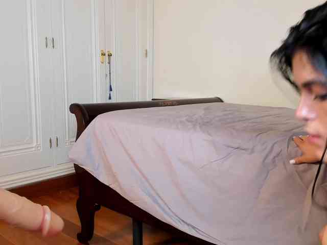 laguber webcam