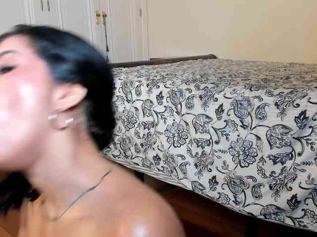 laguber webcam