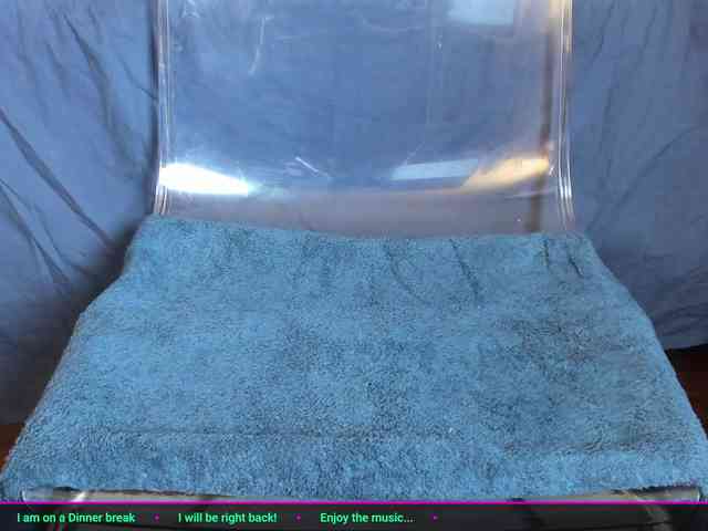 laguber webcam