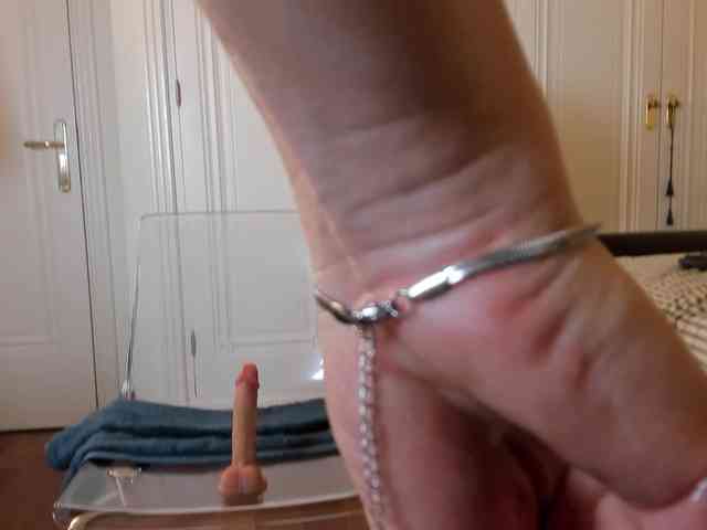 laguber webcam