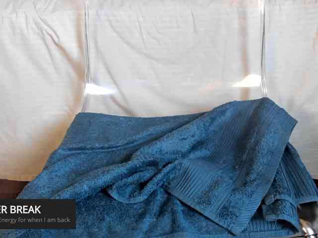 laguber webcam