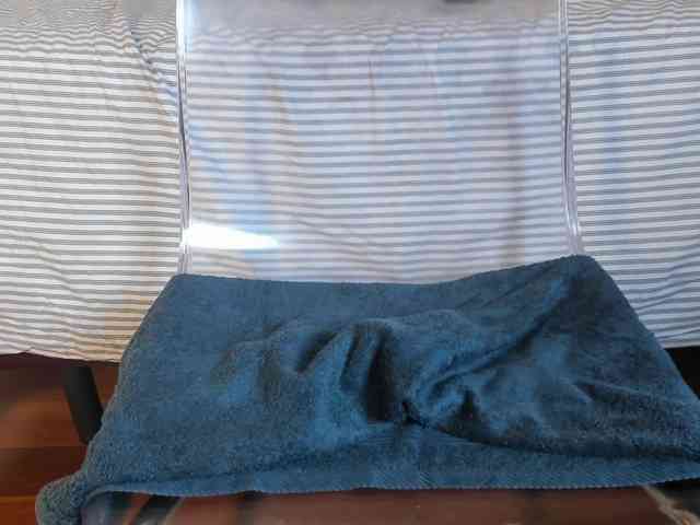laguber webcam
