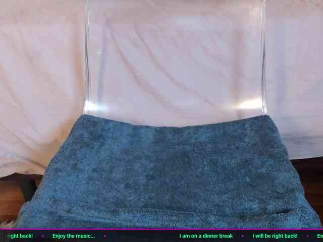 laguber webcam