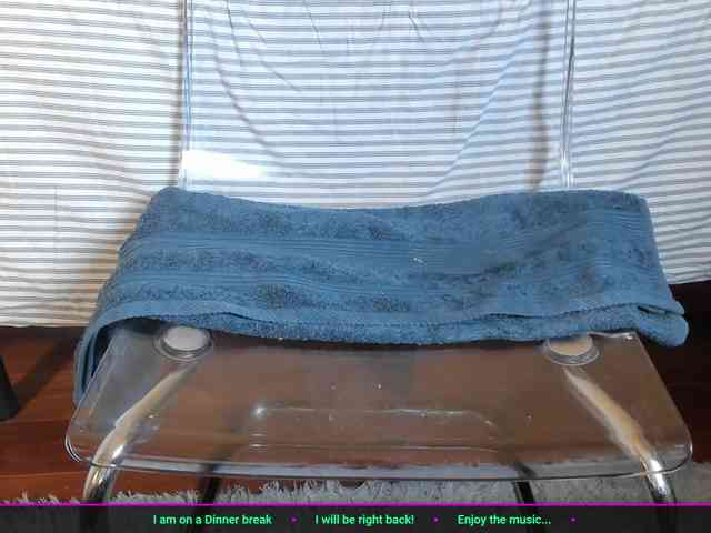laguber webcam