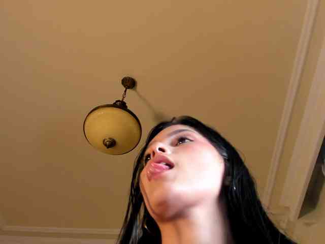laguber webcam