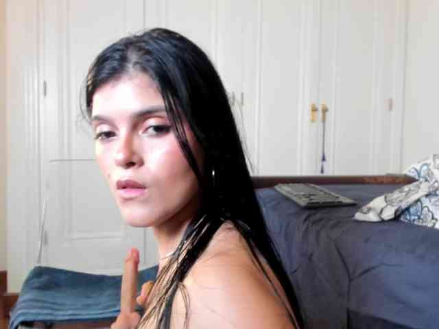laguber webcam