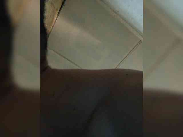 Bagir24
