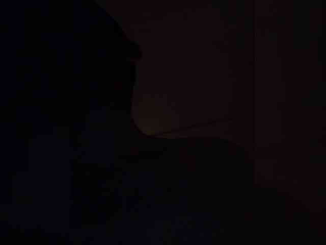 Bagir24