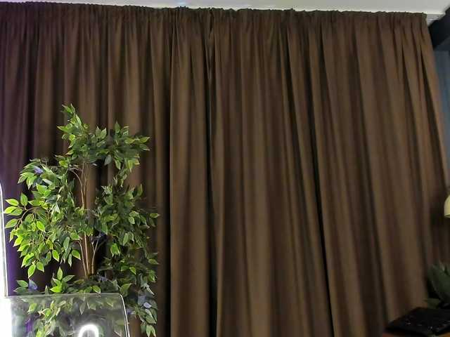 BrainyBelle live cam on BongaCams