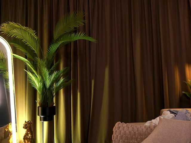 BrainyBelle live cam on BongaCams