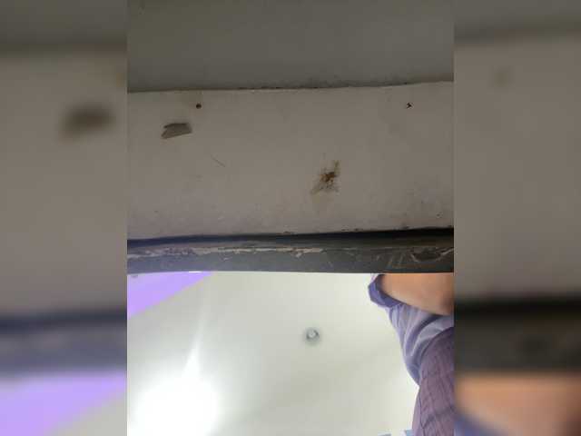 Anastasiaz live cam