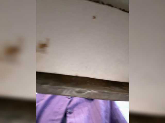 Anastasiaz's BongaCams show and profile