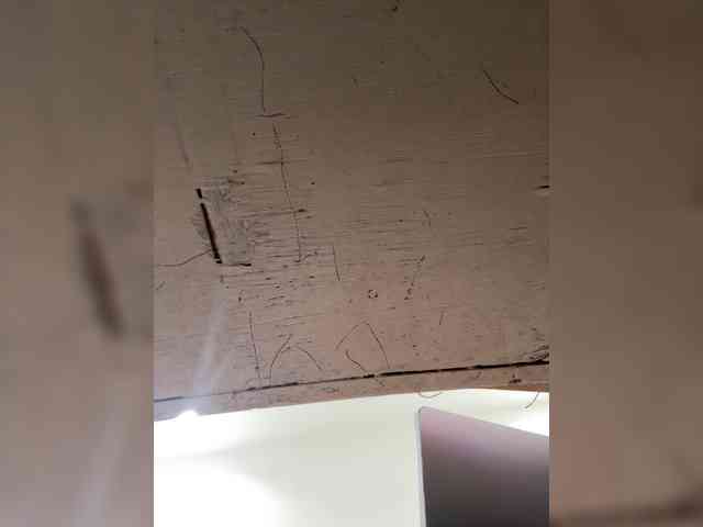 Anastasiaz webcam