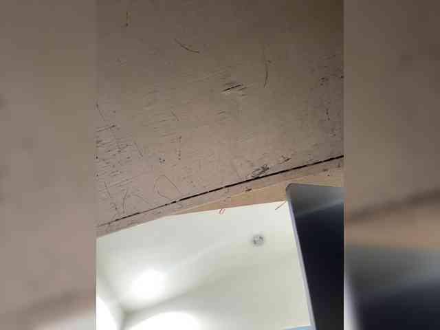 Anastasiaz webcam
