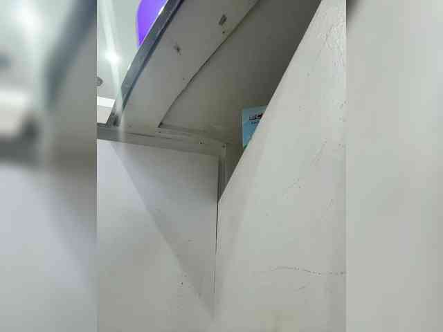 Anastasiaz webcam