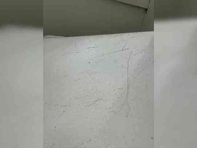 Anastasiaz webcam