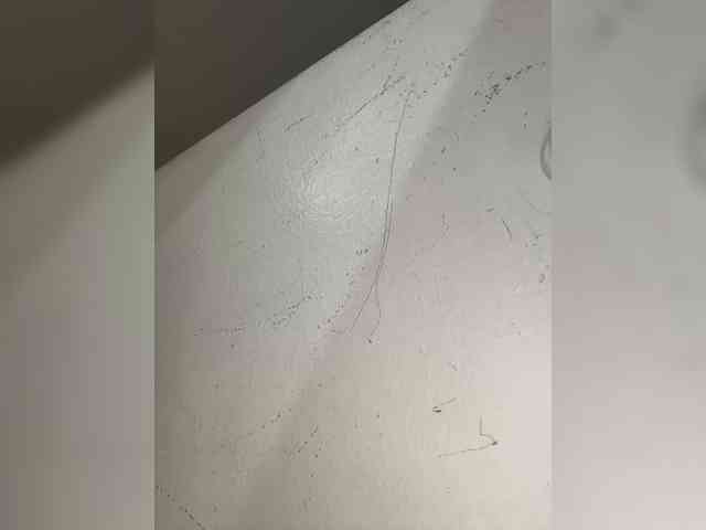 Anastasiaz webcam