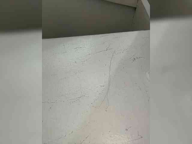 Anastasiaz webcam