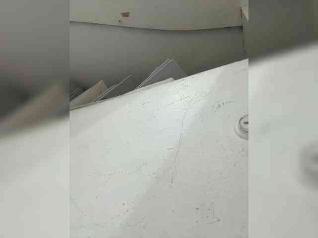 Anastasiaz webcam
