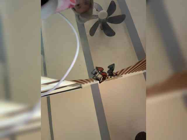Anastasiaz webcam