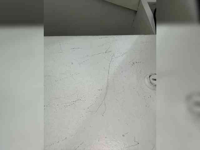 Anastasiaz webcam