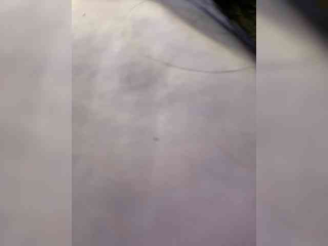 Anastasiaz webcam