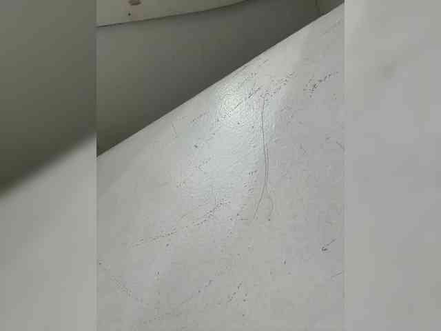 Anastasiaz webcam