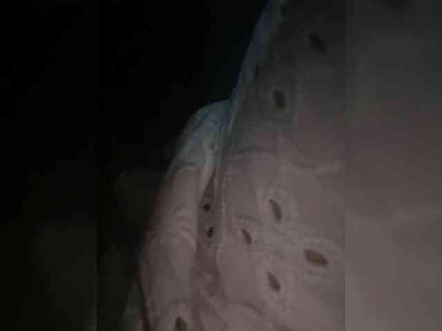 Anastasiaz webcam