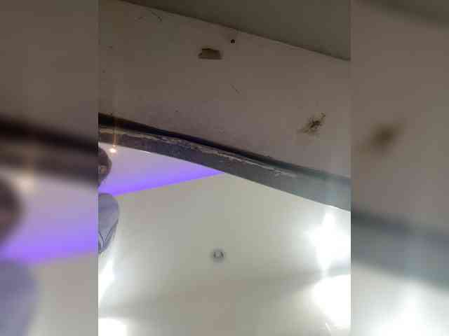 Anastasiaz webcam