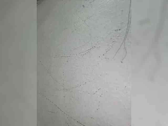 Anastasiaz webcam
