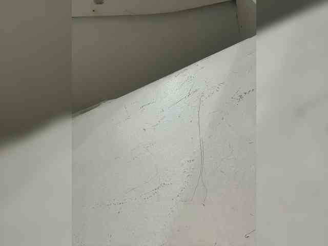 Anastasiaz webcam