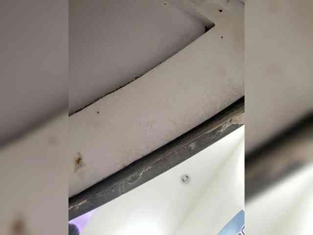 Anastasiaz webcam