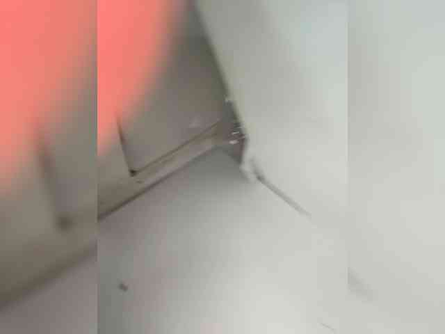 Anastasiaz webcam
