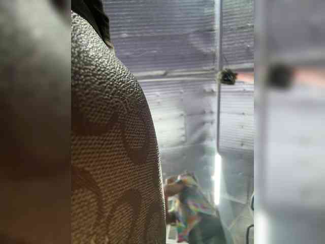 Anastasiaz webcam
