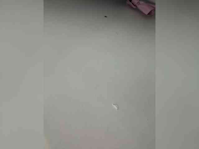 Anastasiaz webcam