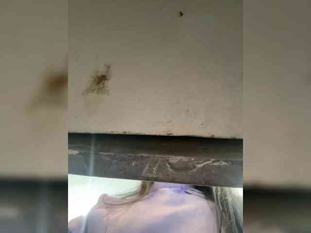 Anastasiaz webcam