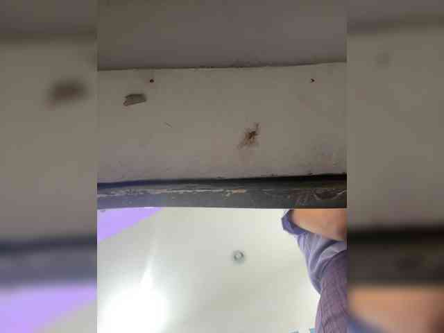 Anastasiaz webcam