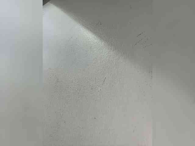 Anastasiaz webcam