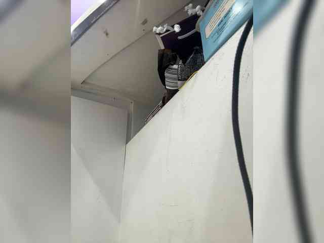 Anastasiaz webcam