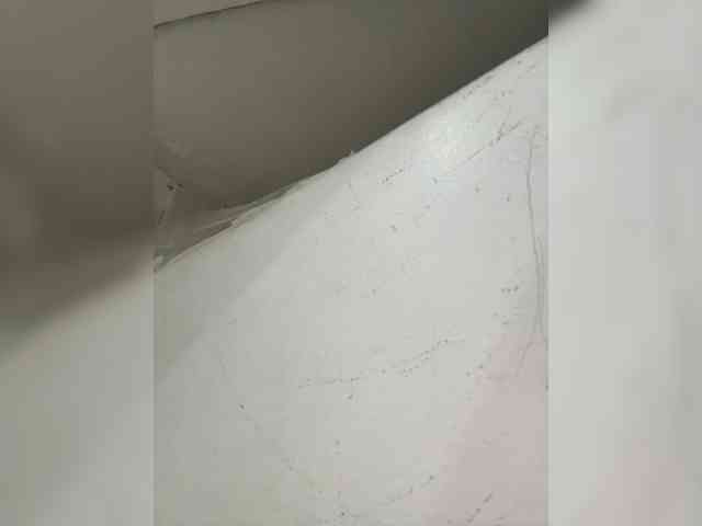 Anastasiaz webcam