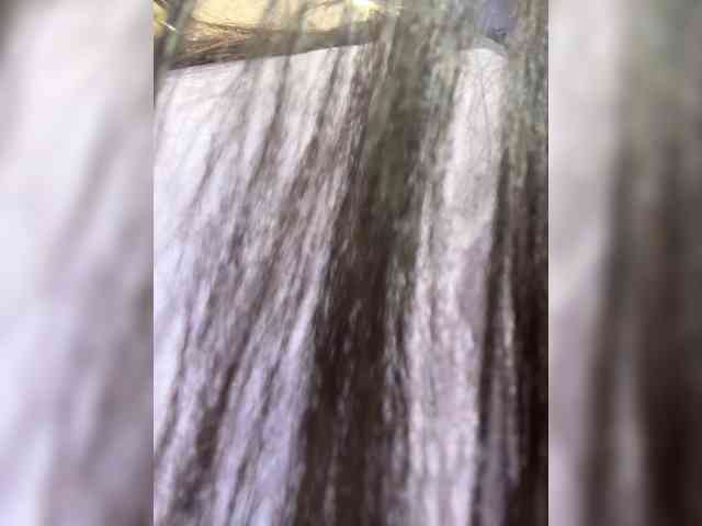 Anastasiaz webcam