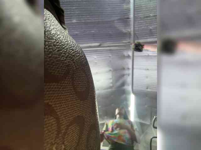 Anastasiaz webcam