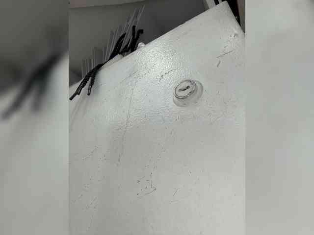 Anastasiaz webcam