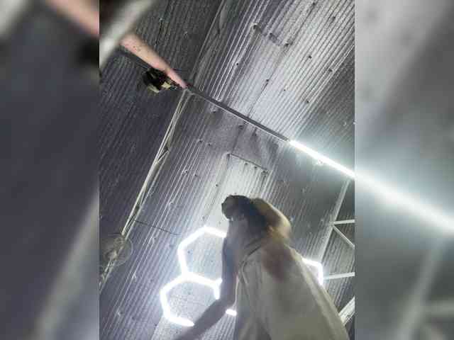 Anastasiaz webcam