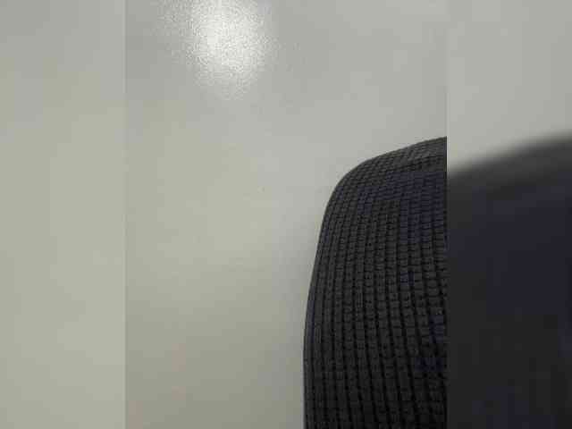 Anastasiaz webcam