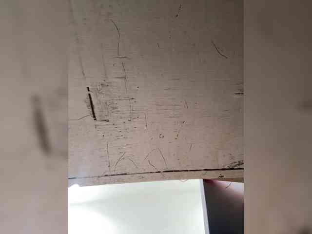 Anastasiaz webcam